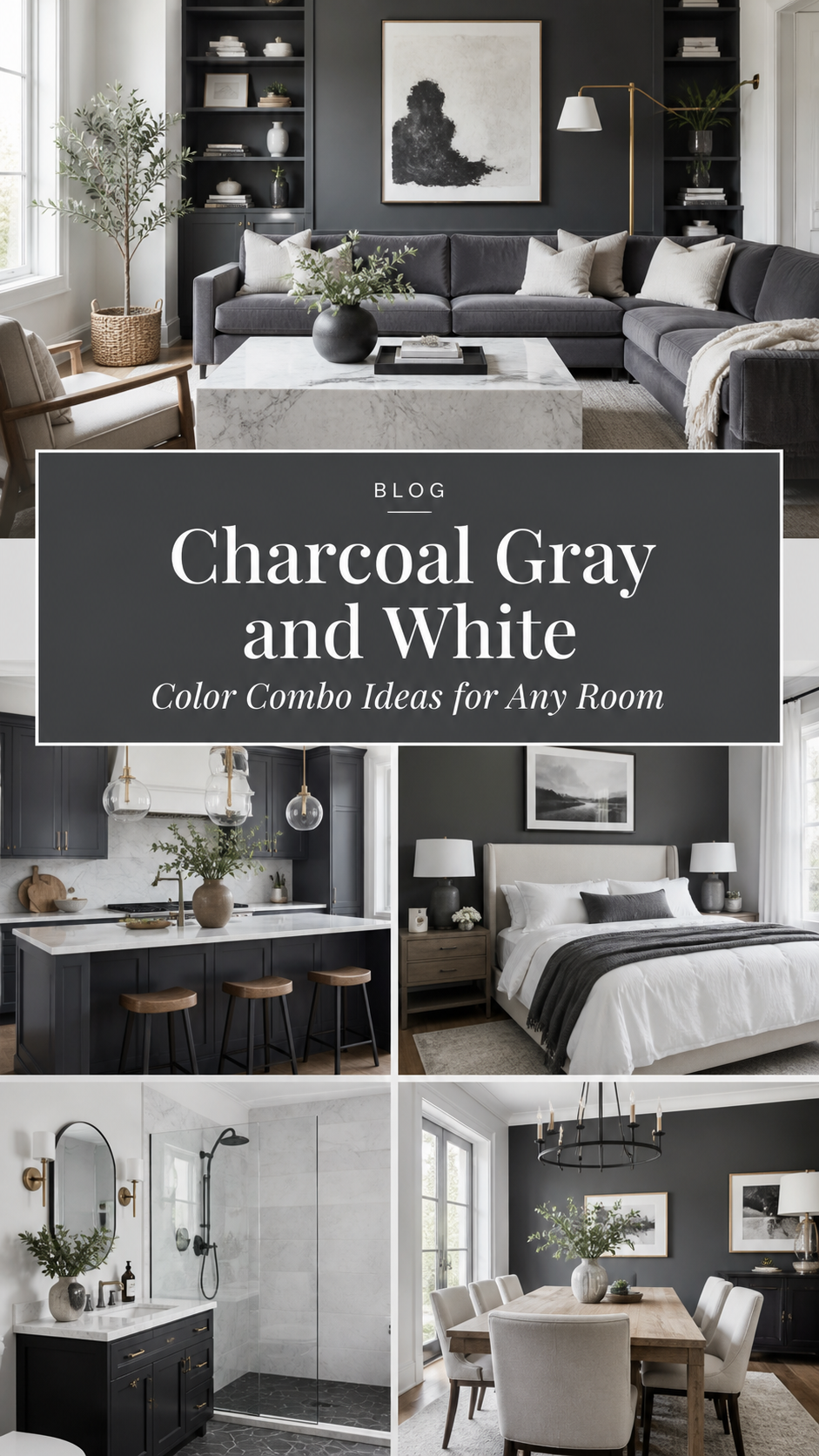 Charcoal gray and white design ideas